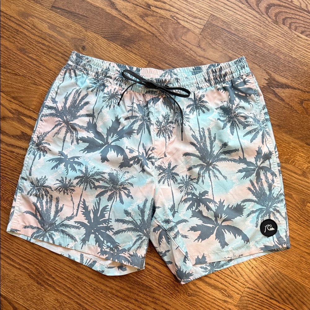 Quiksilver Men’s Swim Trunks